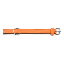 Collier pour Chien Gloria Rembourré Orange (30 x 1,5 cm)