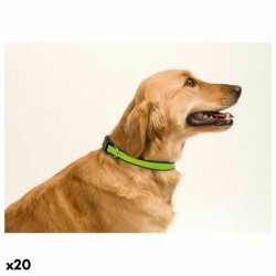 Collier pour Chien 143063...