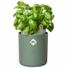 Pot Elho Bouncy Basil  Ronde Vert Plastique Ø 16 cm