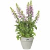 Pot Elho   Ronde Blanc Plastique Ø 40 cm