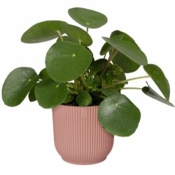 Pot Elho   Ø 30 cm Plastique