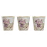 Set de pots DKD Home Decor Beige Rose PVC Shabby Chic 38 x 12 x 14 cm (3 Pièces)