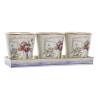 Set de pots DKD Home Decor 38 x 13 x 14 cm Rose Doré PVC Shabby Chic (3 Pièces)