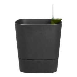 Pot auto-arrosant Elho Greensense Aqua Care Ø 38 x 38,9 cm Gris foncé Carré