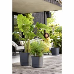 Pot auto-arrosant Elho Greensense Aqua Care Ø 38 x 38,9 cm Gris foncé Carré