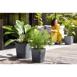 Pot auto-arrosant Elho Greensense Aqua Care Ø 38 x 38,9 cm Gris foncé Carré