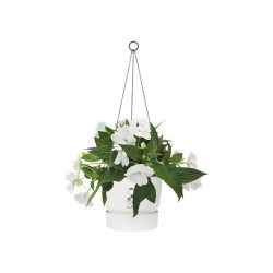 Jardinière suspendue Elho Greenville Ø 23,9 x 20,3 cm Blanc Plastique