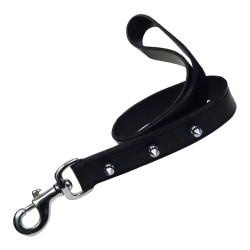 Laisse pour Chien Gloria Noir 60 cm