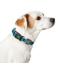 Collier pour Chien Hunter Vario Basic Fils Turquoise 20