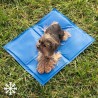 Tapis de Refroidissement pour Animaux de Compagnie Colet InnovaGoods 40 x 50 cm Bleu (Reconditionné A+)