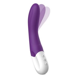 Vibromasseur Liebe Bend It Pourpre