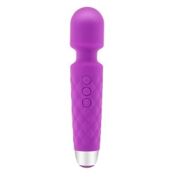 Vibrateur G-Spot S Pleasures The Wand Lila