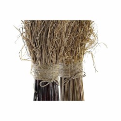 Branche DKD Home Decor 27 x 27 x 72 cm 27 x 27 x 67 cm Naturel (2 Unités)