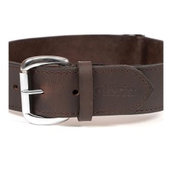 Collier pour Chien Gloria Marron (85 x 4 cm)