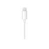 Câble Audio Jack vers Lightning Apple MXK22ZM/A 1,2 m