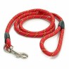 Laisse pour Chien Rayures 120 cm