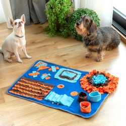 Tapis de jeux et récompenses pour animaux de compagnie Foofield InnovaGoods