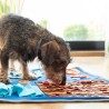 Tapis de jeux et récompenses pour animaux de compagnie Foofield InnovaGoods