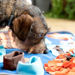 Tapis de jeux et récompenses pour animaux de compagnie Foofield InnovaGoods