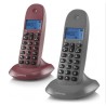 Téléphone Sans Fil Motorola C1002 (2 pcs)