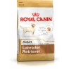 Nourriture Royal Canin Labrador Retriever Adult 12 kg Adultes Adulte