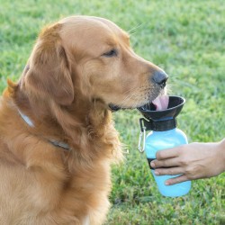 Bouteille Abreuvoir pour Chiens InnovaGoods