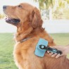 Brosse pour Animaux de Compagnie avec Dents Rétractables Groombot InnovaGoods