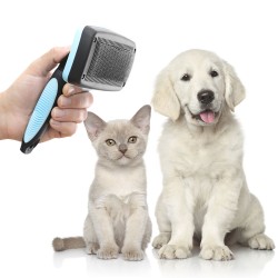 Brosse pour Animaux de Compagnie avec Dents Rétractables Groombot InnovaGoods