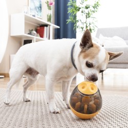 Jouet Distributeur de Friandises pour Animaux2 en 1 Petyt InnovaGoods