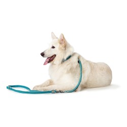 Laisse pour Chien Hunter HILO Turquoise 200 cm