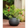 Pot Riviera 814276 Gris Rond Ballon Ø 40 cm