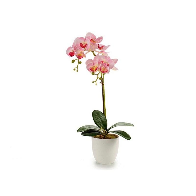 Pot Orchid Blanche Plastique (51 cm)