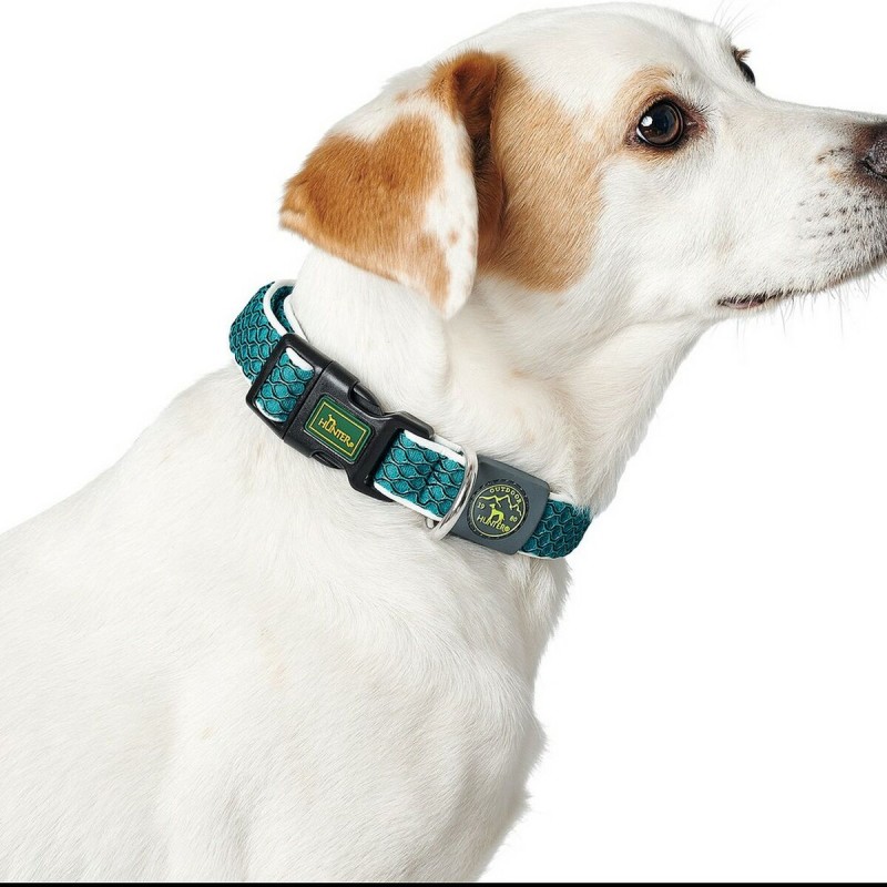 Collier pour Chien Hunter Basic Fil Bleu Taille M Blue (33-50 cm)