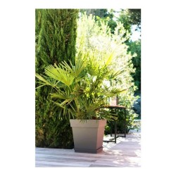 Pot EDA Tuscan Taupe Plastique Carré Ø 50 cm (49,5 x 49,5 x 52,5 cm)