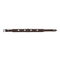 Collier pour Chien Hunter Swiss 47-54 cm