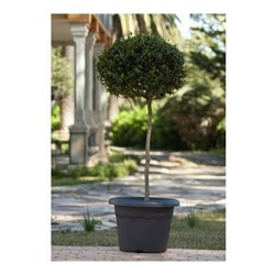 Pot Plastiken 7352 Gris Anthracite Plastique Rond Ø 45 x 38 cm Ø 52 x 38 cm