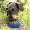 Bouteille avec Distributeur d'Eau et d'Aliments pour Animaux2 en 1 Pettap InnovaGoods