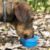 Bouteille avec Distributeur d'Eau et d'Aliments pour Animaux2 en 1 Pettap InnovaGoods