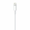 Câble USB vers Lightning Apple MXLY2ZM/A