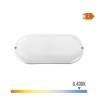 Applique LED EDM Ovale Blanc 18 W F 1820 lm (6400 K)