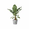 Pot Elho Greenville Ø 24,48 cm Plastique