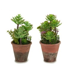 Plante décorative Marron Vert Plastique