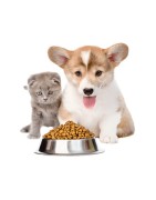 Aliments pour animaux